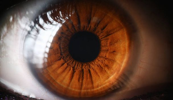 Close-up menselijk oog, lens, hoornvlies en bruine iris. - Foto, afbeelding