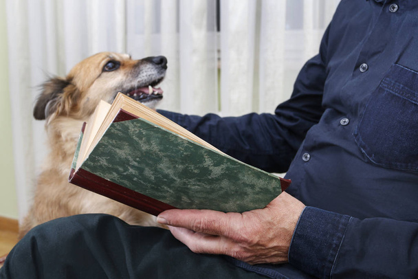 Old man sitting on the sofa with his lovely dog and book. - Foto, immagini