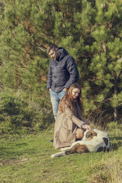 Casal jovem em um passeio com um cão em uma floresta de pinheiro
 - Foto, Imagem