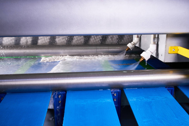 Автоматична промислова лінія для миття та чищення килимів
 - Фото, зображення