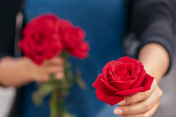 Рука дарує троянду
 - Фото, зображення