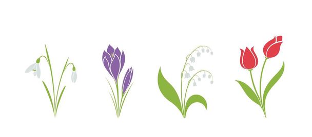 conjunto de flores de primavera. elemento de diseño de flores. cocodrilo dibujado a mano, nevada, tulipán y lirio del valle
 - Vector, imagen