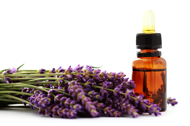 Lavender essential oil - Photo, Image