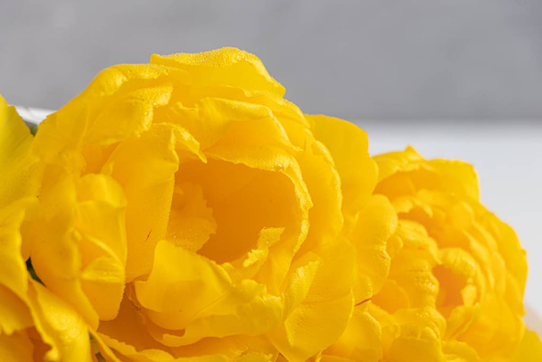 Bouquet di tulipani gialli per le vacanze. Festa della donna, San Valentino, onomastico. Su sfondo bianco
. - Foto, immagini