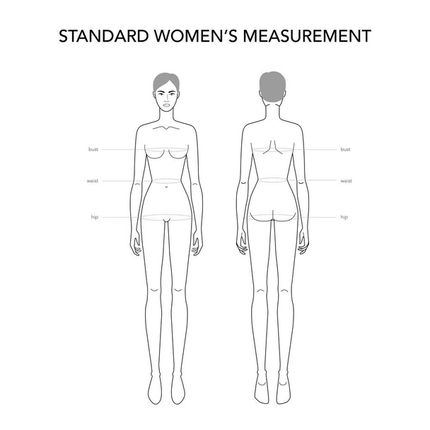 Standart womens measurements fashion terminology Illustration for lady size chart. - Vector, Image