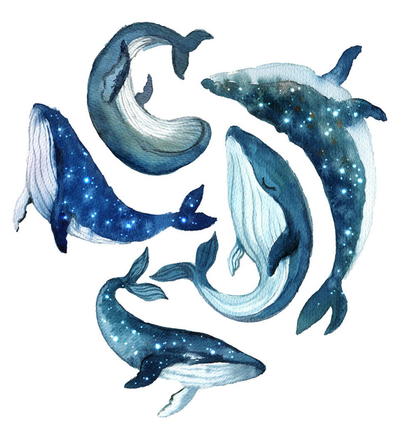 Acuarela hermosas ballenas lindas con cielo estrellado sobre el fondo blanco
 - Foto, imagen