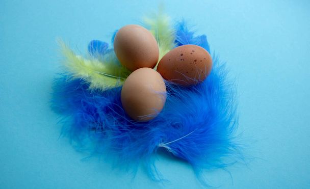 Cesta de Pascua con huevos de Pascua y plumas amarillas y amentos sobre fondo azul
 - Foto, imagen