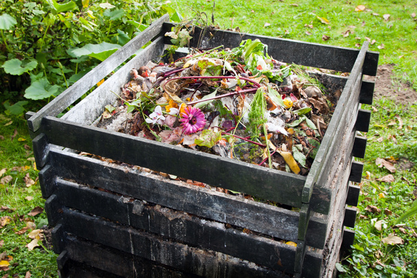 compost container - Foto, afbeelding