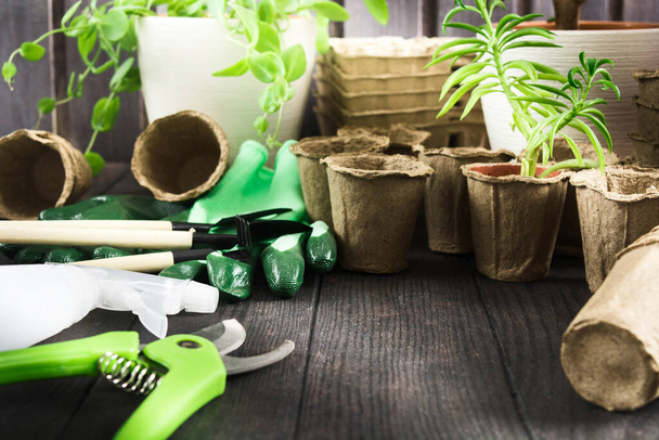 Home garden concept. Various tools and accessories on wooden background - 写真・画像