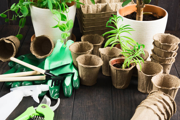 Mady different pots and tools for gardening on wooden table with copy space - 写真・画像