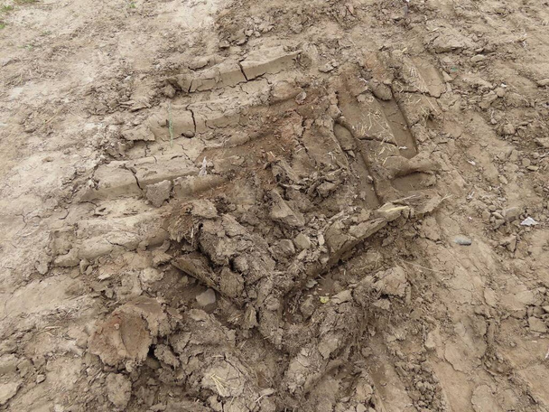 traktorin raiteet mudassa
 - Valokuva, kuva