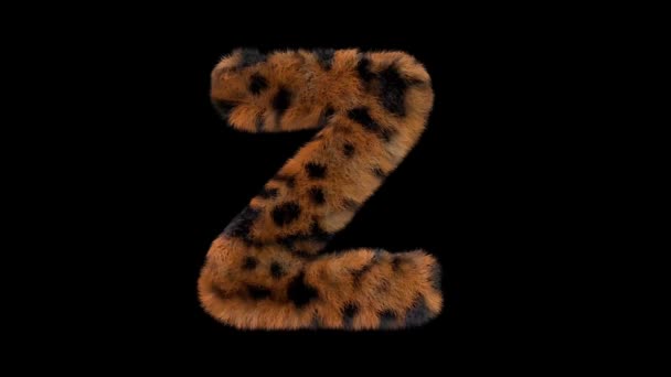 3D animated furry hairy zoo leopard text typeface with alpha channel Z - Footage, Video