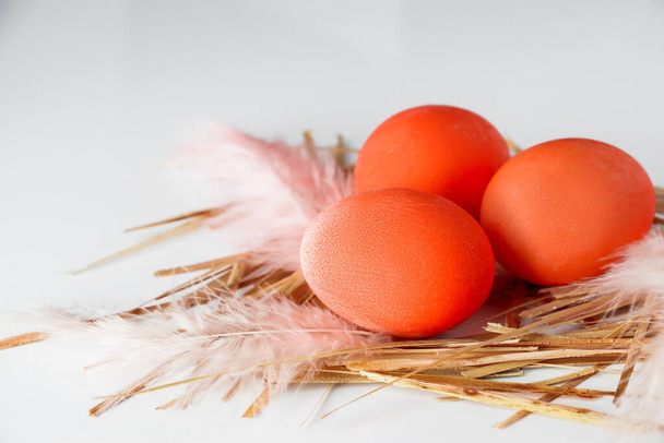 Beyaz arka planda bir yuvada turuncu paskalya yumurtaları ve tüyler. Paskalya kompozisyonu: Turuncu boyalı yumurta ve yuvadaki tüyler. Metnin için yer. - Fotoğraf, Görsel