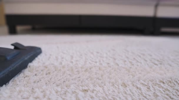 Gros plan sur tapis de laine avec aspirateur industriel
 - Séquence, vidéo