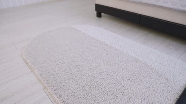 Femme utilisant un aspirateur nettoyage beau tapis beige dans le salon
 - Séquence, vidéo
