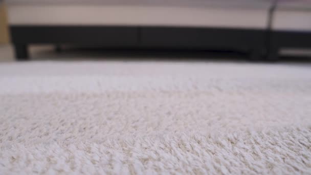 Woman using a vacuum cleaner to clean a carpet on a laminate in a home interior - Footage, Video