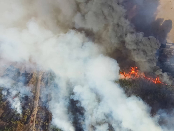 森林火災、周辺地域の煙。煙と炎. - 写真・画像