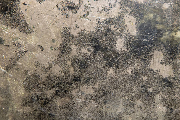 Stein Textur und Hintergrund. Rock Mineral exklusive einzigartige Textur - Foto, Bild