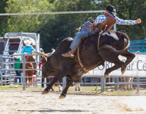 rodeo - Photo, Image