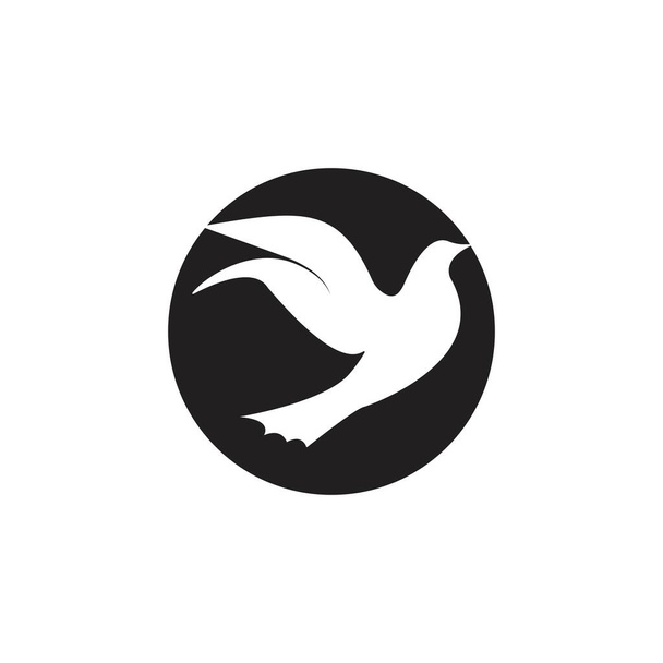 wektor szablonu logo ptaków  - Wektor, obraz