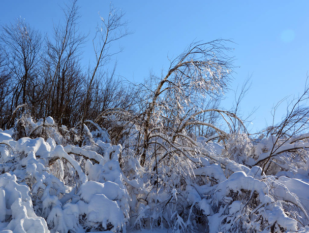 Winter wonderland, mountain, snow and winter sports  - Photo, Image