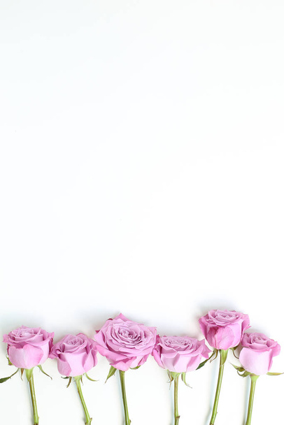Pink purple rose flowers on white background. Floral composition, flat lay, top view, copy space - 写真・画像