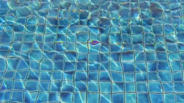 Imágenes tranquilas de la piscina vacía en el hotel resort - Metraje, vídeo