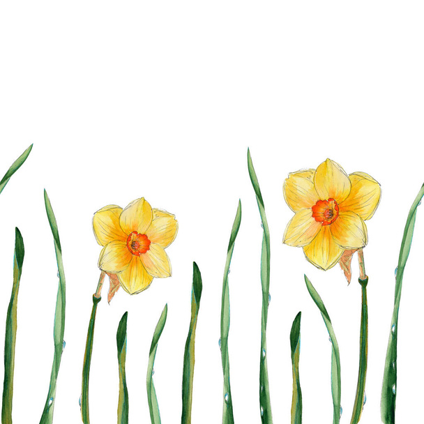 Seamless pattern White yellow Narcissus with a bright orange center and thin green leaves with dew drops on them - hand-drawn watercolor illustration - Foto, Imagen