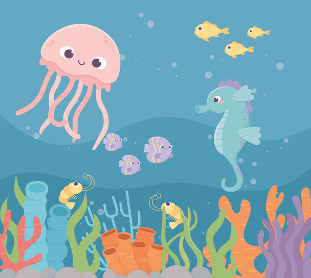 jellyfish seahorse fishes shrimp life coral reef under the sea - Vector, Image