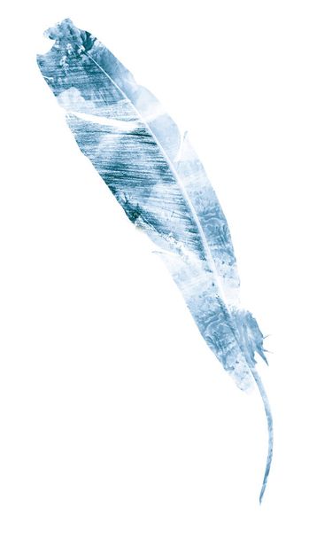 Watercolor feathers, isolated on white background - Fotoğraf, Görsel