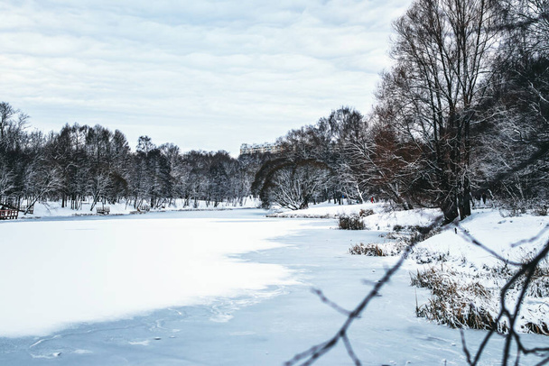 Parc d'hiver à Moscou avec des arbres enneigés. Paysage hivernal
. - Photo, image