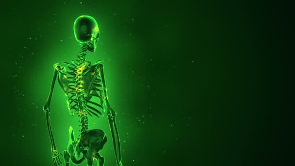 Fond abstrait avec animation de rotation squelette humain réaliste avec des neurones lumineux à l'intérieur. Animation de boucle transparente
 - Séquence, vidéo