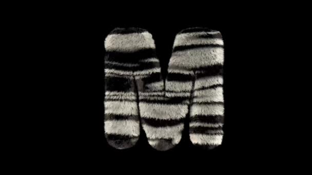 3d geanimeerde harige dierentuin zebra tekst lettertype met alfa kanaal M - Video