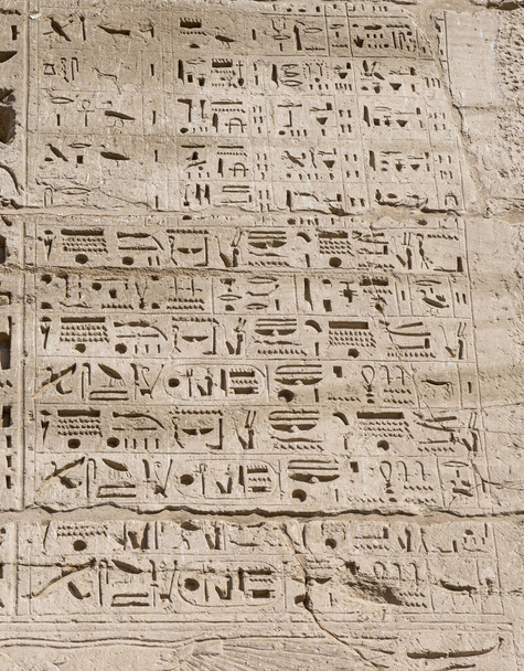Sculture geroglifiche su un antico muro del tempio egizio
 - Foto, immagini
