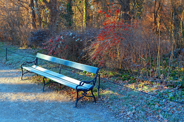 Raureif auf der Parkbank am Wintermorgen  - Foto, Bild