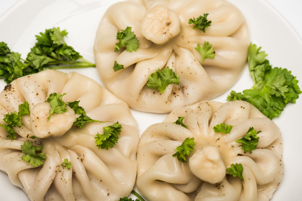 close up view of delicious Khinkali with cilantro and black pepper on white plate - Fotoğraf, Görsel