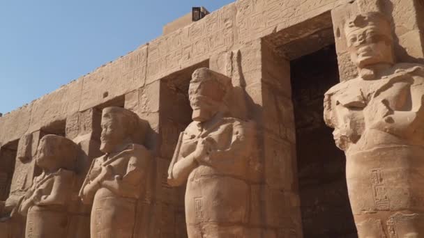 Egyiptom művészet. Szobrok a karnak templomnál Luxorban. - Felvétel, videó