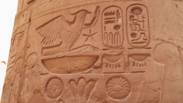 Karnak Στήλη Λεπτομέρειες από τον αρχαίο αιγυπτιακό πολιτισμό. Karnak ναός στο Λούξορ είναι ένα από τα πιο σημαντικά τουριστικά αξιοθέατα από την αρχαία Αίγυπτο - Πλάνα, βίντεο