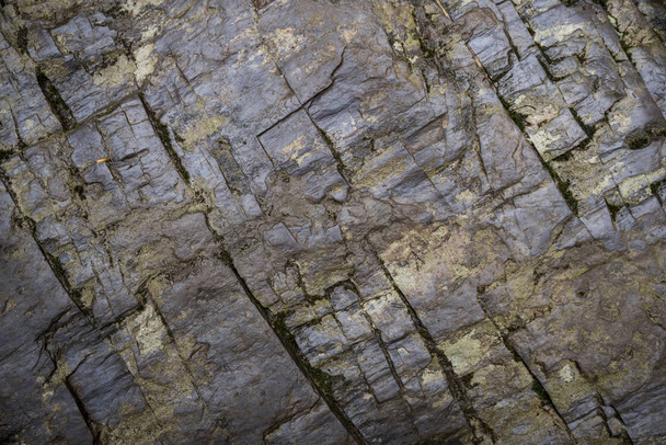 Texture of wet stone covered with moss. Background image of macr - Фото, изображение