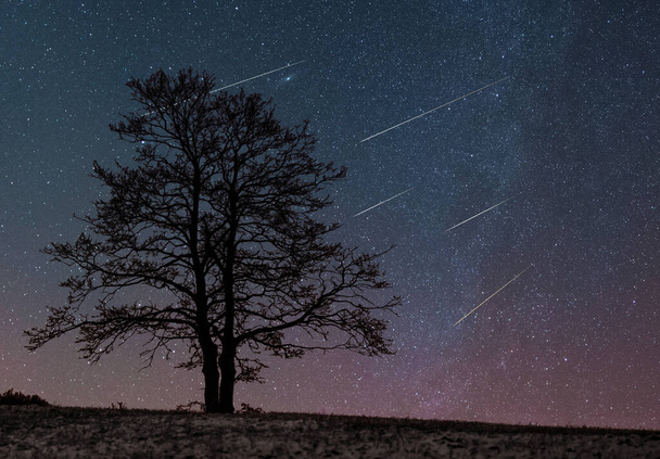 Za osamělým stromem na kopci létající meteority na noční obloze - Fotografie, Obrázek