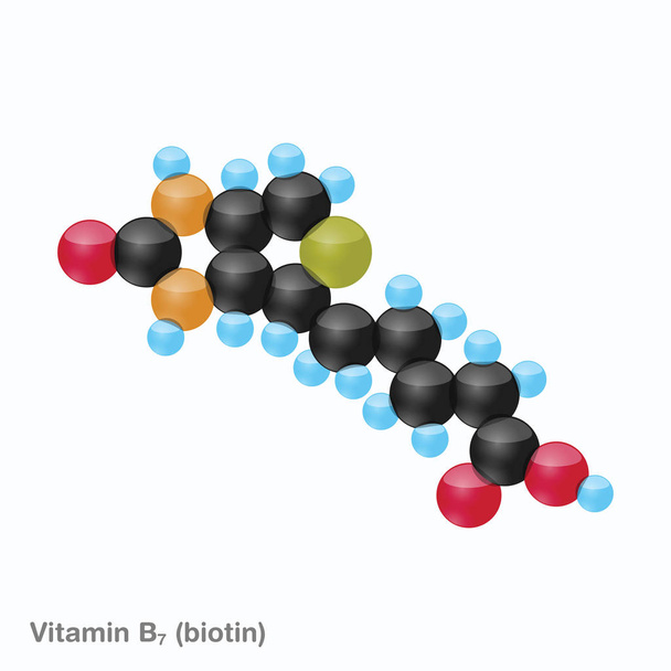 Vitamin B7 (biotin) Koule - Vektor, obrázek