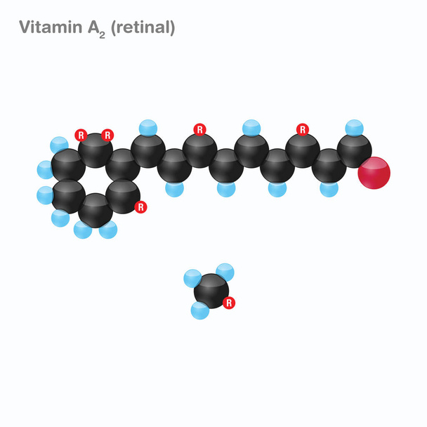 Βιταμίνη A2 (αμφιβληστροειδής) Σφαίρα - Διάνυσμα, εικόνα