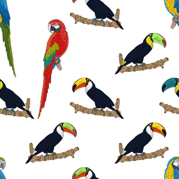 Seamless pattern with toucans and parrots birds - Vector, Image