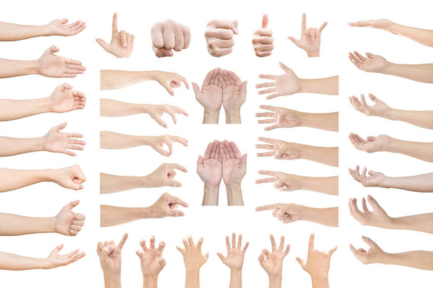 Colección de manos humanas en gesto múltiple aislado sobre fondo blanco con recorrido de recorte
. - Foto, Imagen