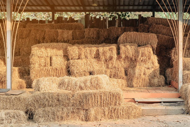 Montones apilados de paja seca recolectada para alimentación animal. Pila de fardos de heno embalados secos
. - Foto, Imagen