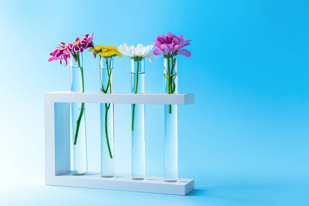 Test tubes with flowers on color background - 写真・画像