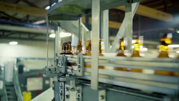 bier lege amberkleurige glazen flessen bewegen op de transportband, slow motion - Video