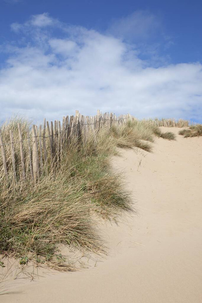 Písečné duny, Devon, Anglie - Fotografie, Obrázek