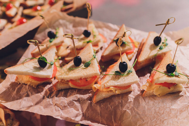 Fresh Assorted snacks of canape on the table. - Photo, Image