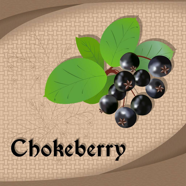 Label sticker met kruiden chokeberry vector afbeelding - Vector, afbeelding